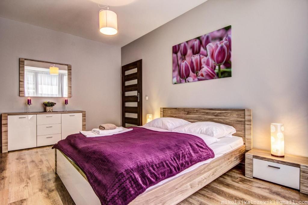 Apartamenty Oaza Deluxe Zakopane Extérieur photo